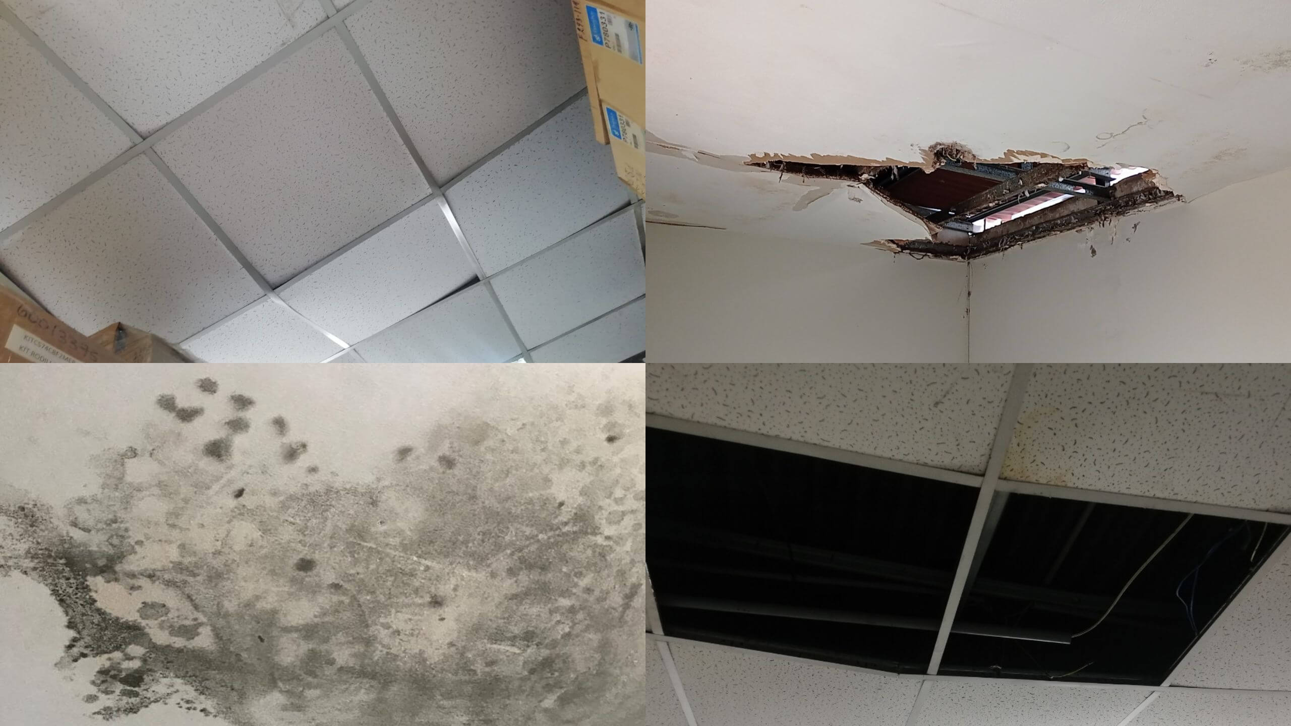 Techo De Drywall: 9 Señales de que debes reemplazarlo en Lima metropolitana