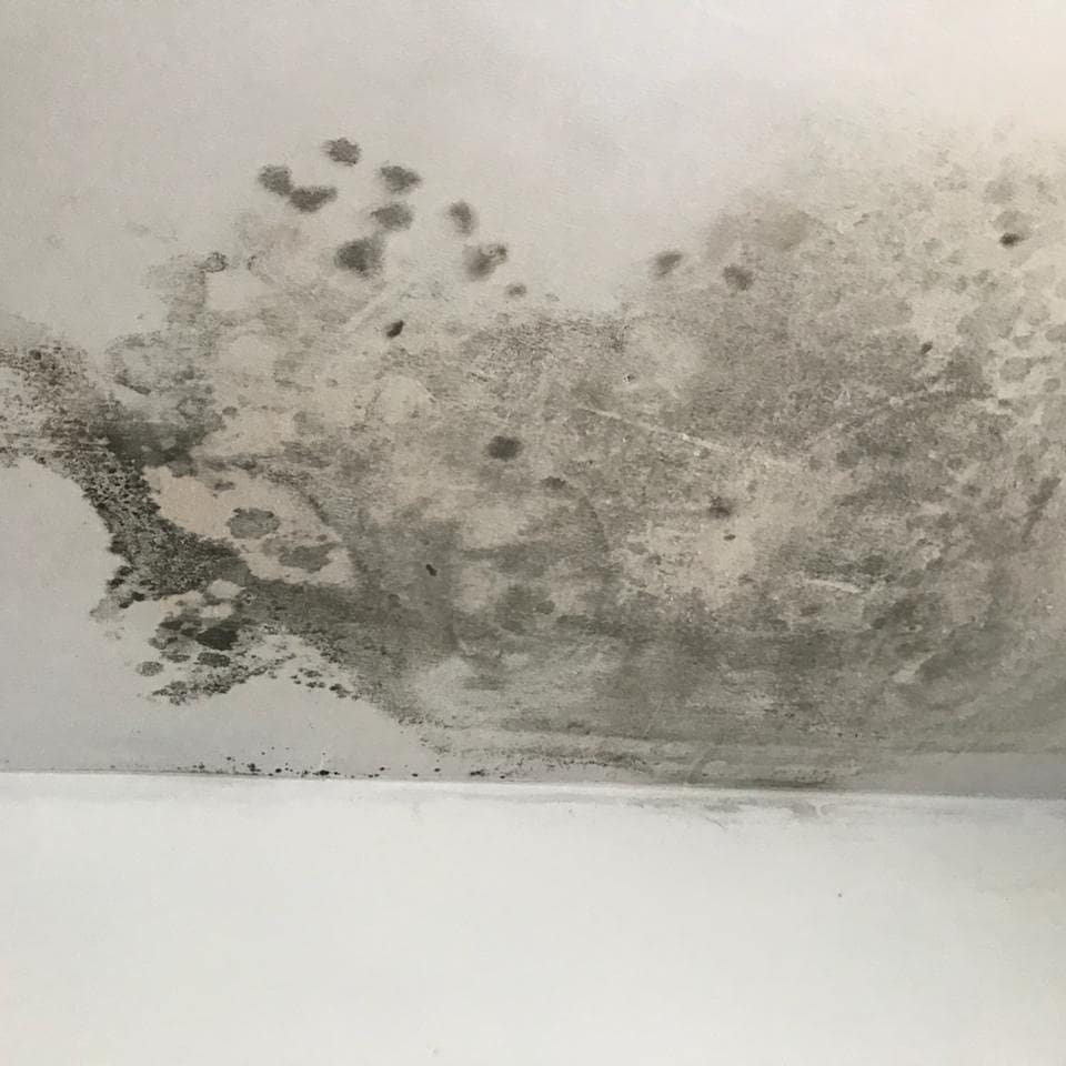 Tu Casa De Drywall: Reparación Y Mantenimiento en Peru 2